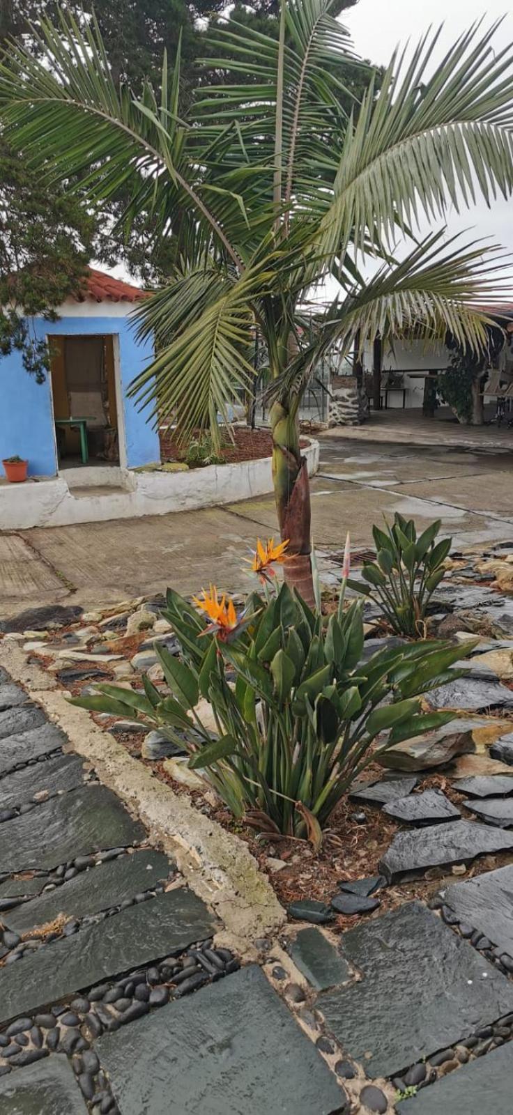Casa La Caldera Villa Firgas Værelse billede